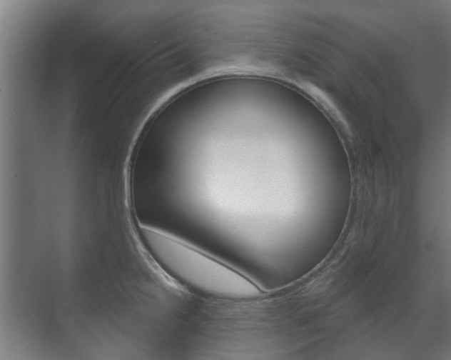 X0000072541238200607141028