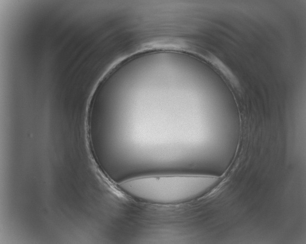 X0000072541240200607141028