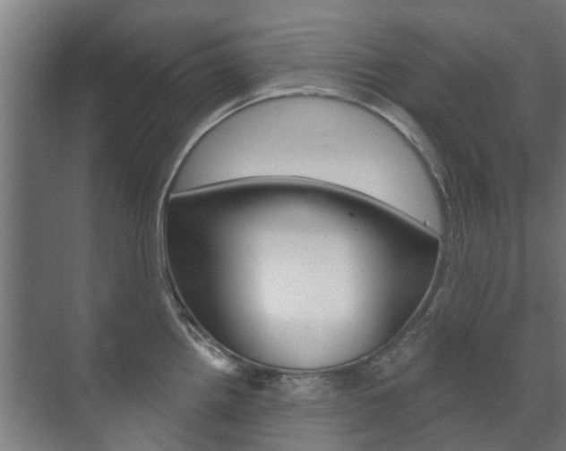 X0000072541242200607141028