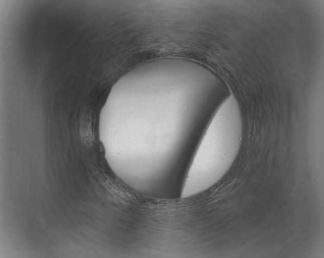 X0000072541250200607141027