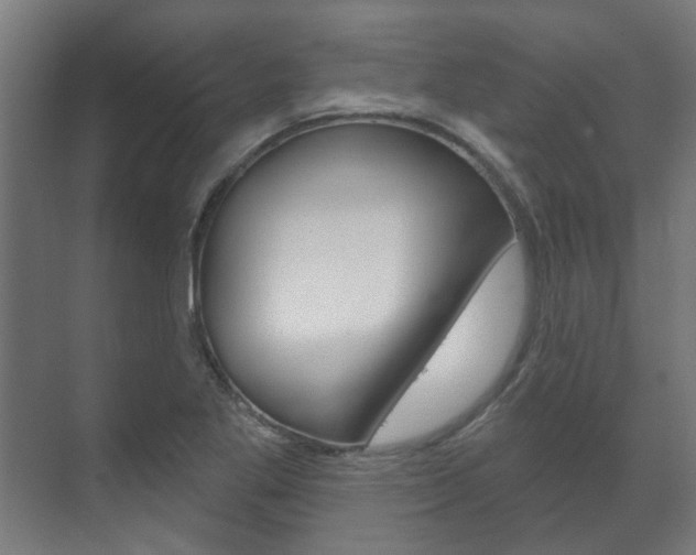 X0000072541269200607141027