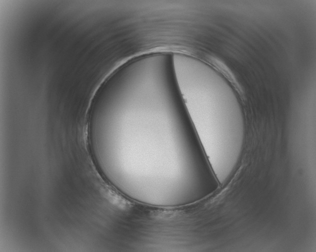 X0000072541284200607141026