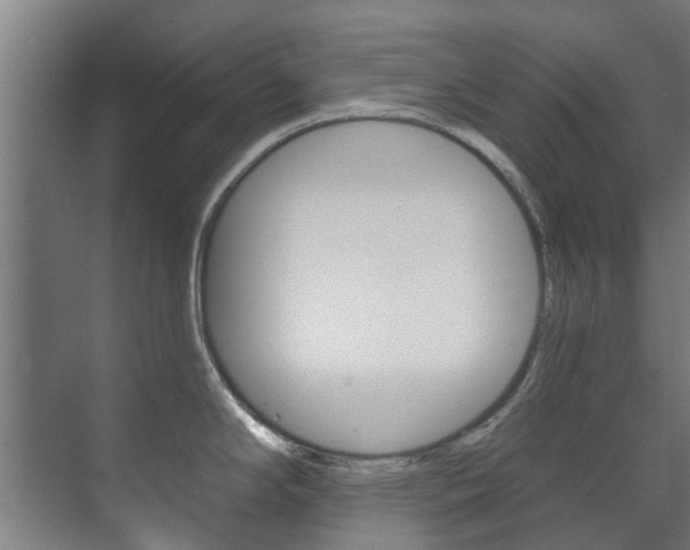 X0000072541294200607141026