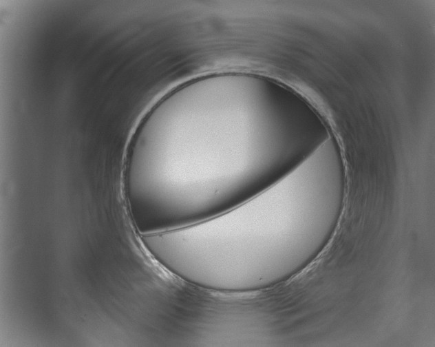 X0000072541296200607141026
