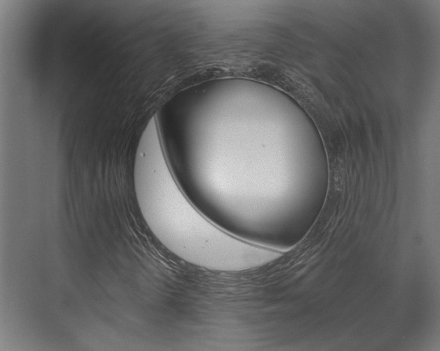 X0000072541298200607141025