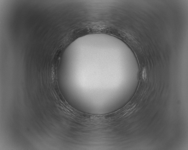 X0000072541299200607141026