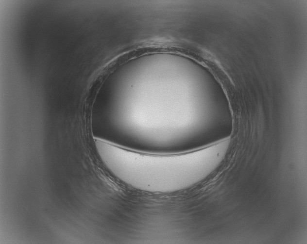 X0000072541304200607141026