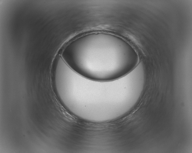 X0000072541308200607141026