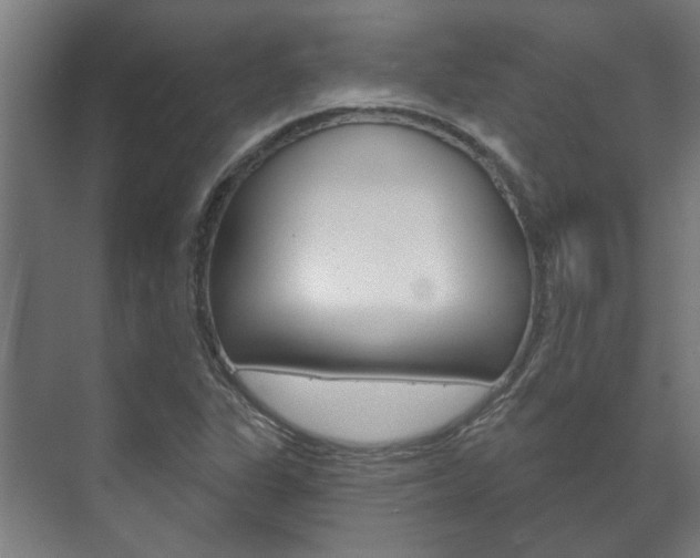 X0000072541311200607141026
