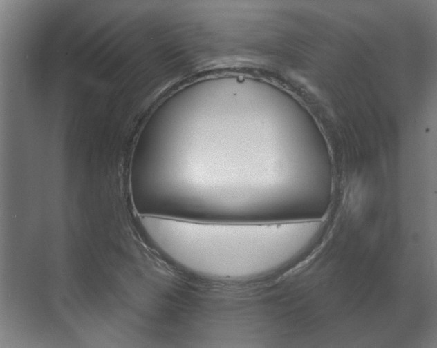 X0000072541313200607141026