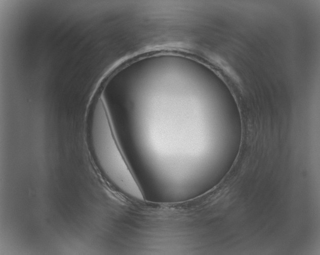 X0000072541316200607141026