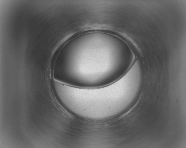 X0000072541317200607141026