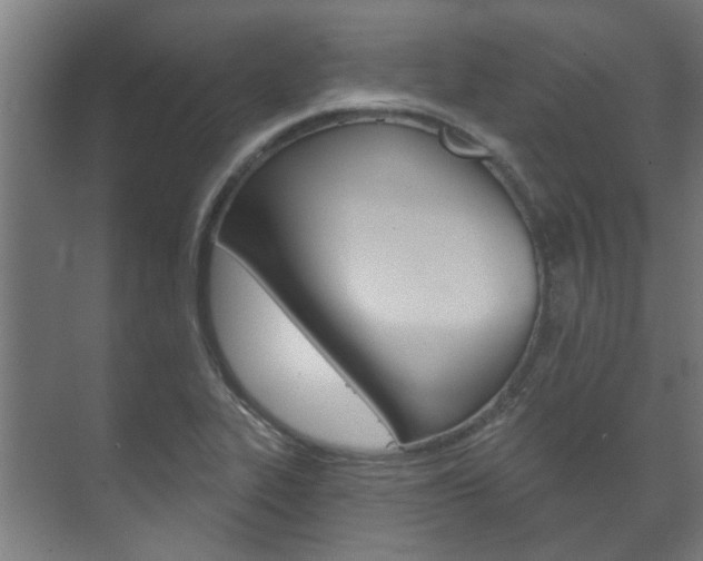 X0000072541319200607141026