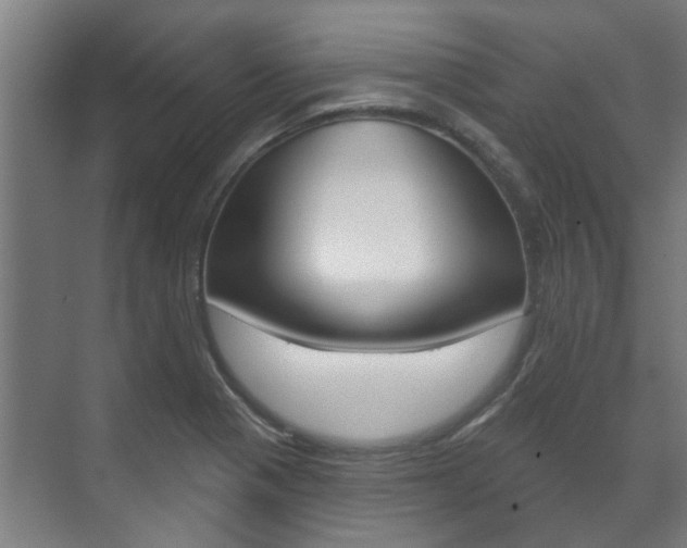 X0000072541321200607141026