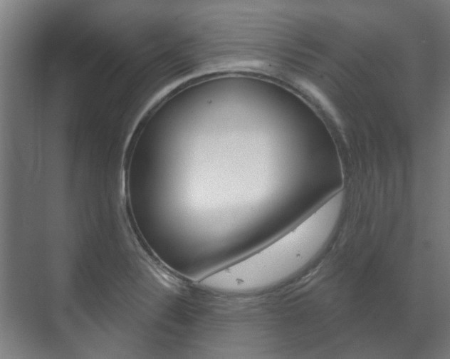 X0000072541324200607141026