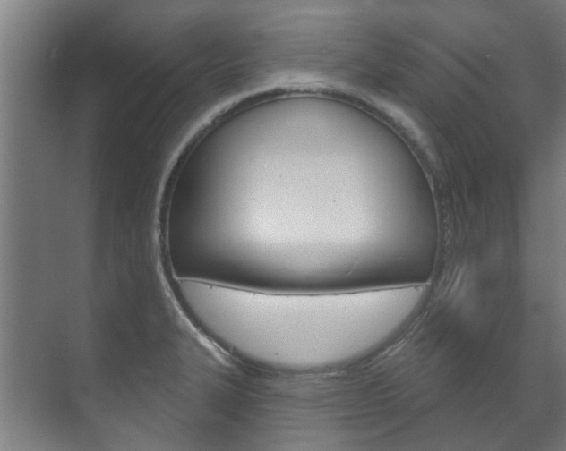 X0000072541327200607141026