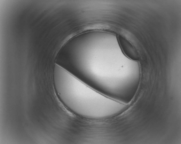 X0000072541329200607141026