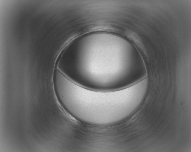 X0000072541330200607141026