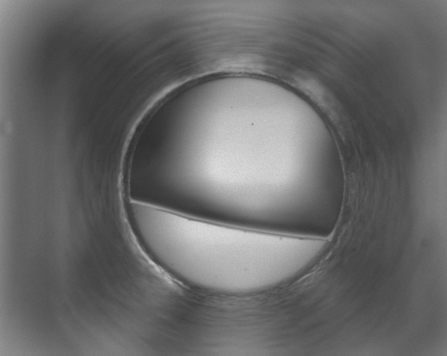 X0000072541331200607141026