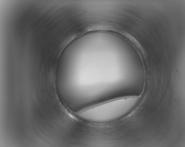 X0000072541337200607141026