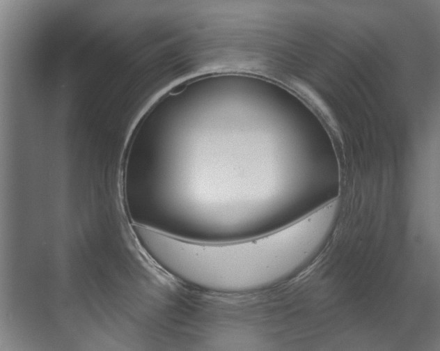 X0000072541340200607141026