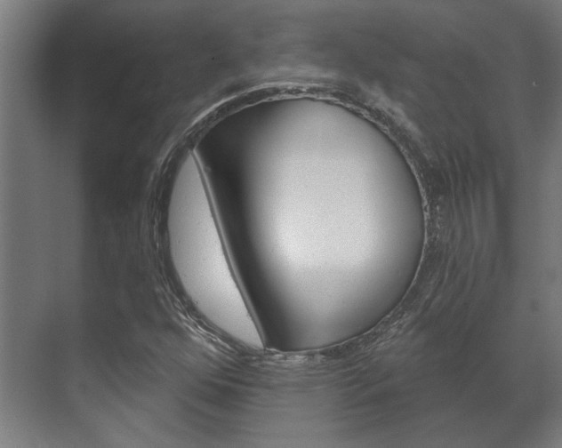 X0000072541352200607141025