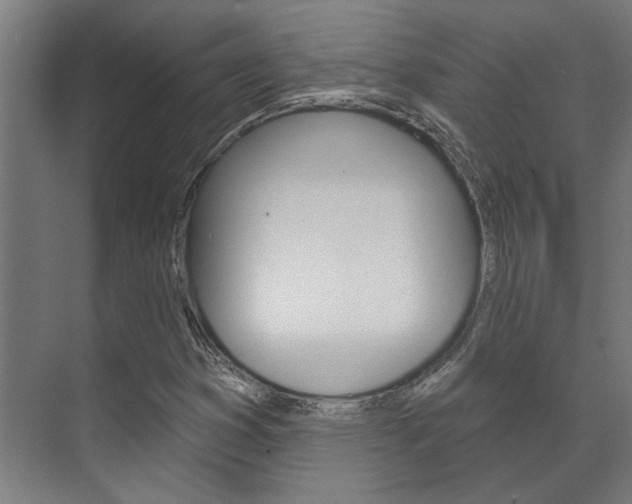 X0000072541353200607141025