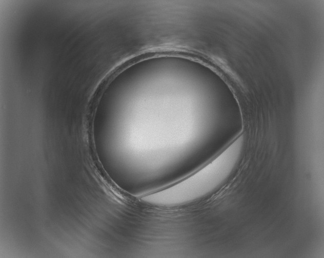X0000072541356200607141025