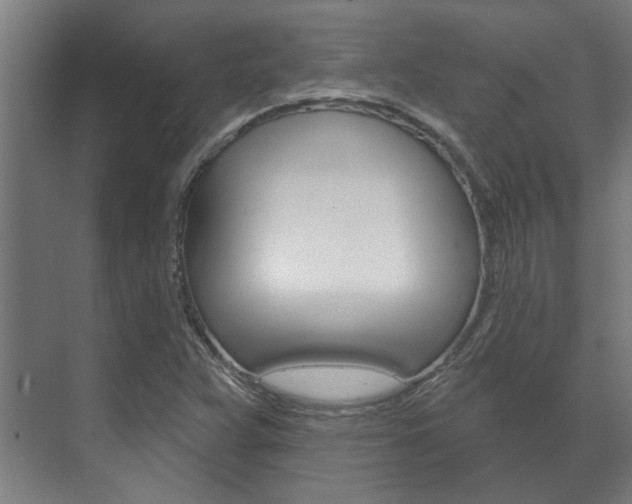 X0000072541359200607141025