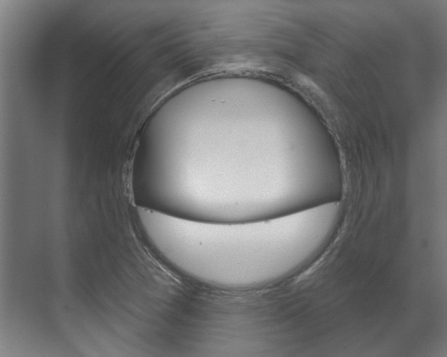 X0000072541361200607141025