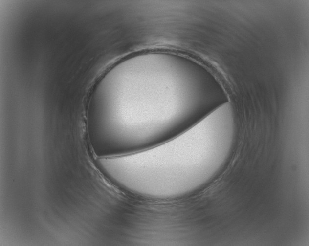 X0000072541363200607141025