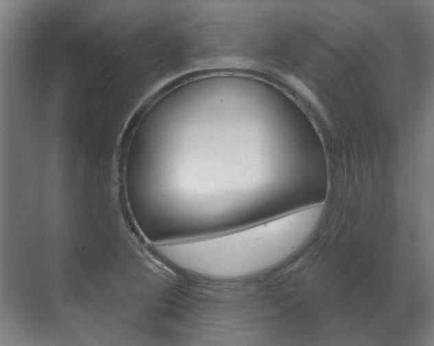 X0000072541364200607141025