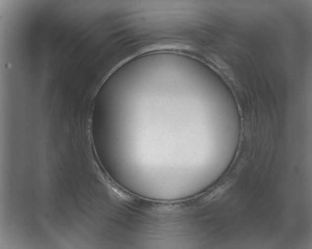 X0000072541369200607141025