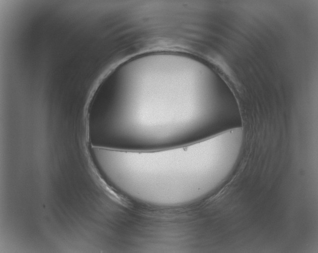 X0000072541371200607141025