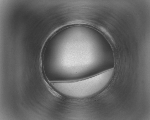 X0000072541372200607141025
