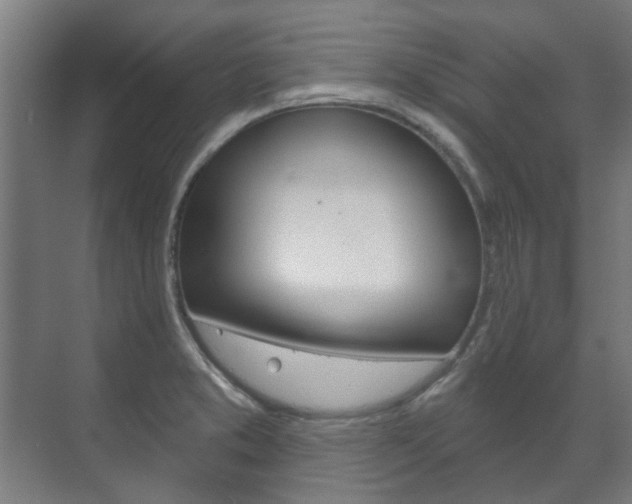 X0000072541373200607141025