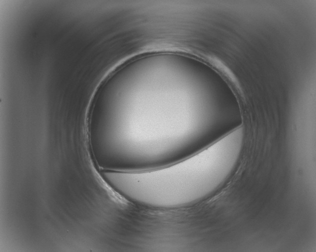 X0000072541380200607141025