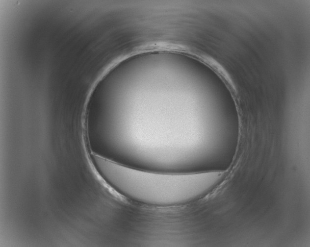 X0000072541381200607141025