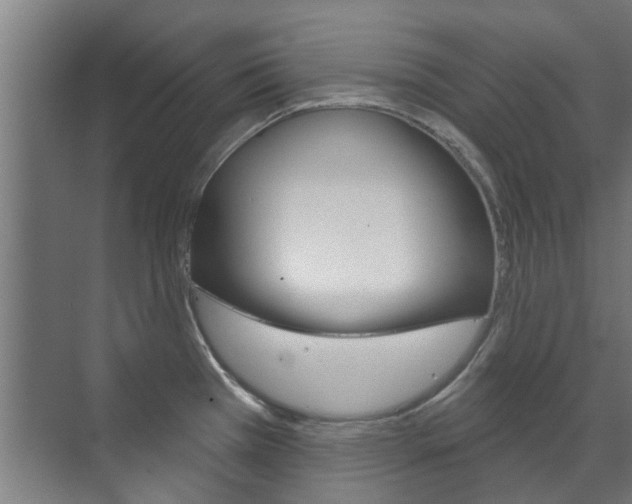 X0000072541385200607141025