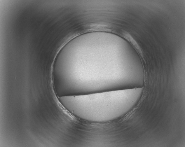 X0000072541386200607141025