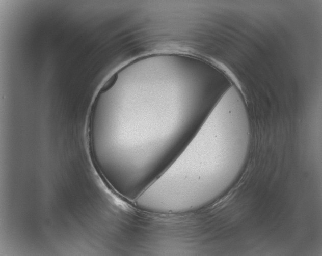 X0000072541387200607141025