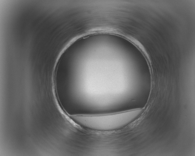 X0000072541389200607141025