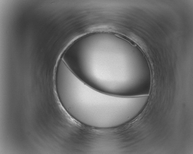 X0000072541392200607141025