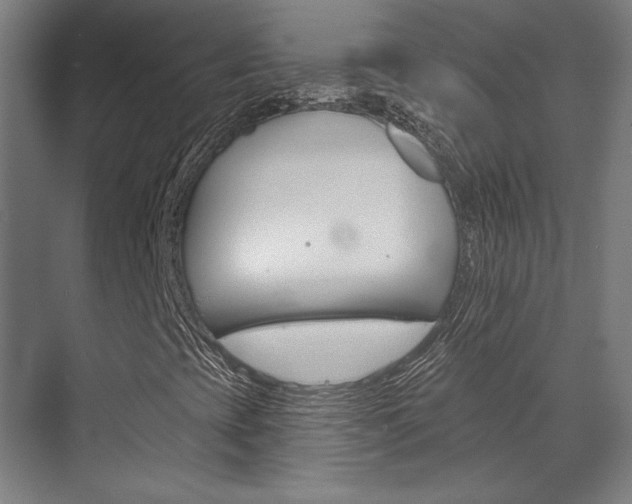 X0000072541393200607141024