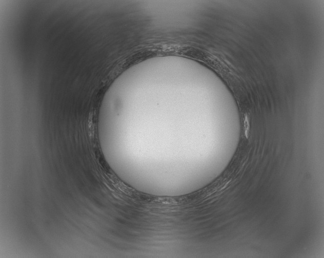 X0000072541395200607141024