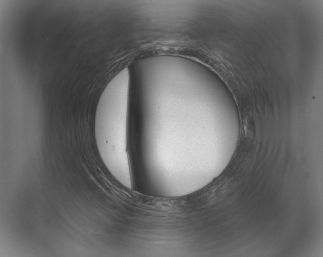 X0000072541396200607141024