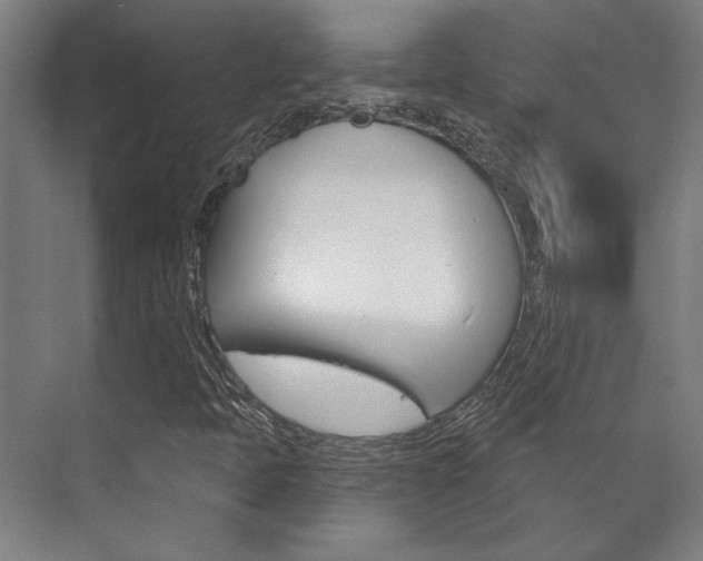 X0000072541397200607141024