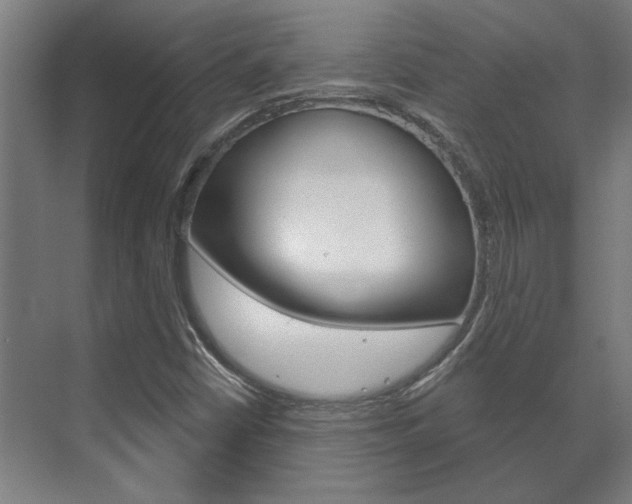 X0000072541402200607141024