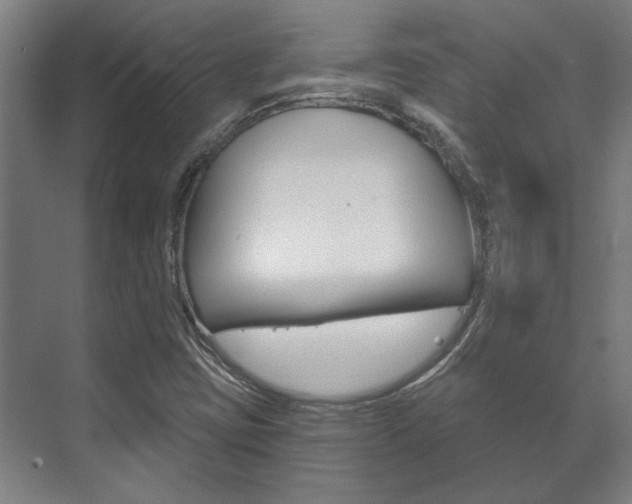 X0000072541403200607141024