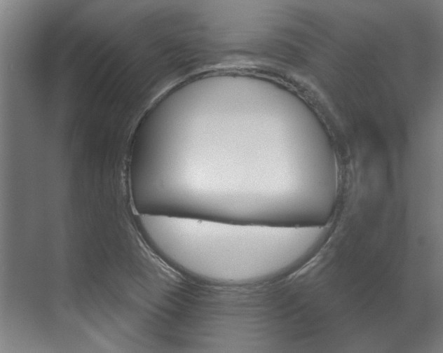 X0000072541409200607141024